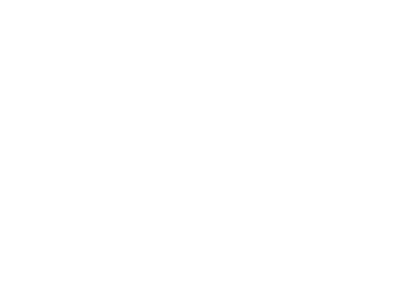Soul Tone Beer Logo
